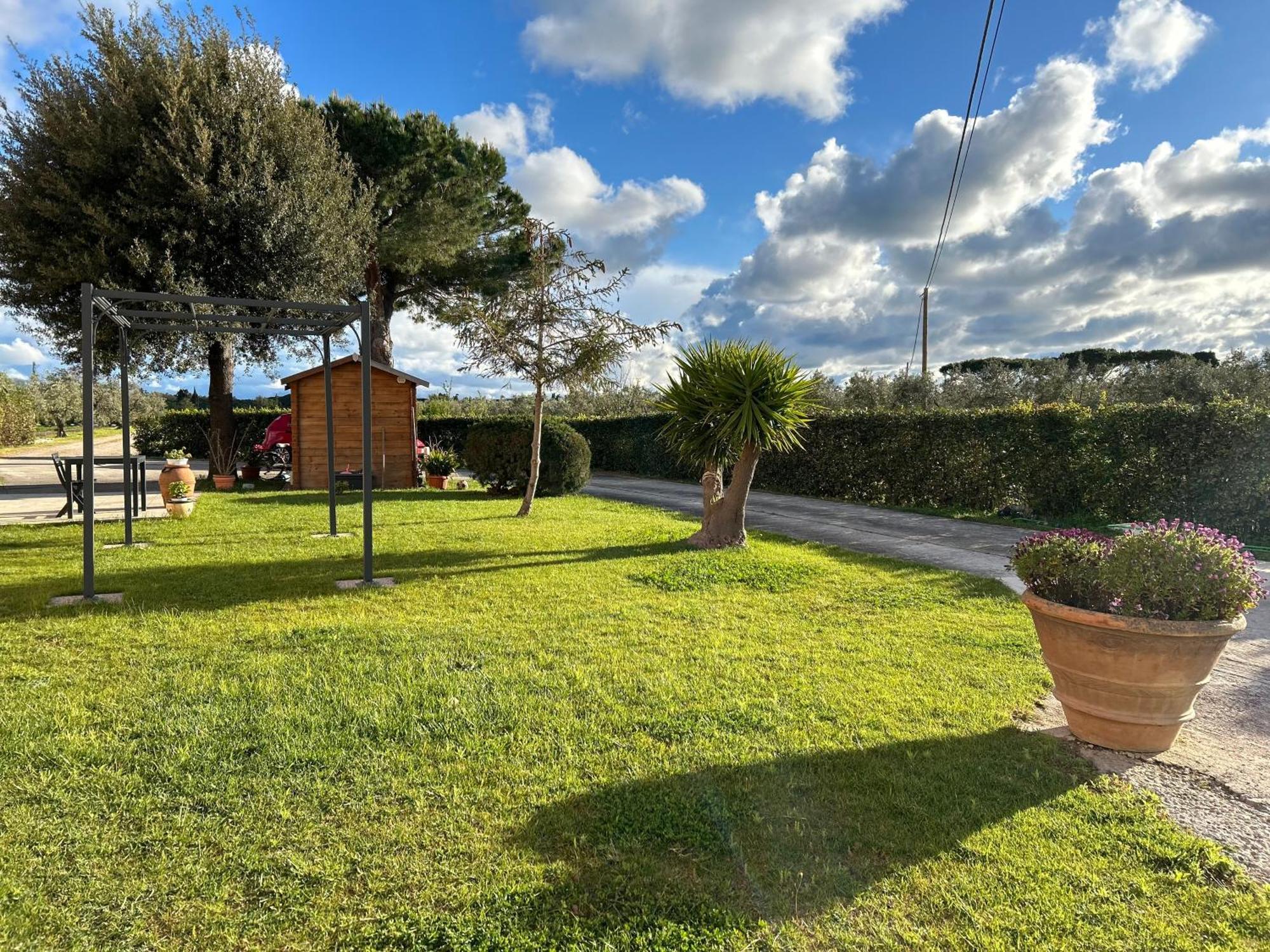 Agriturismo Da Michele E Carmela Di Voli Patrizia Donoratico Exteriör bild